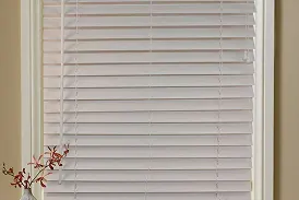 Blackout Roller Shades